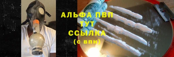 прущие грибы Пестово