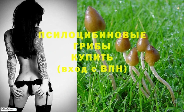MDMA Premium VHQ Алзамай